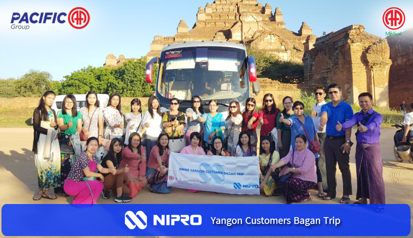Nipro Yangon Customers' Bagan Trip